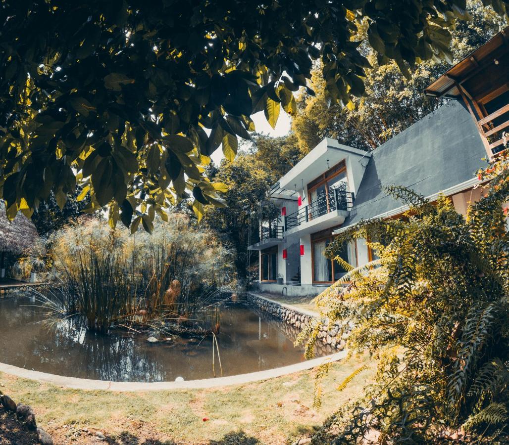 Tagua Lodge Тена Екстериор снимка