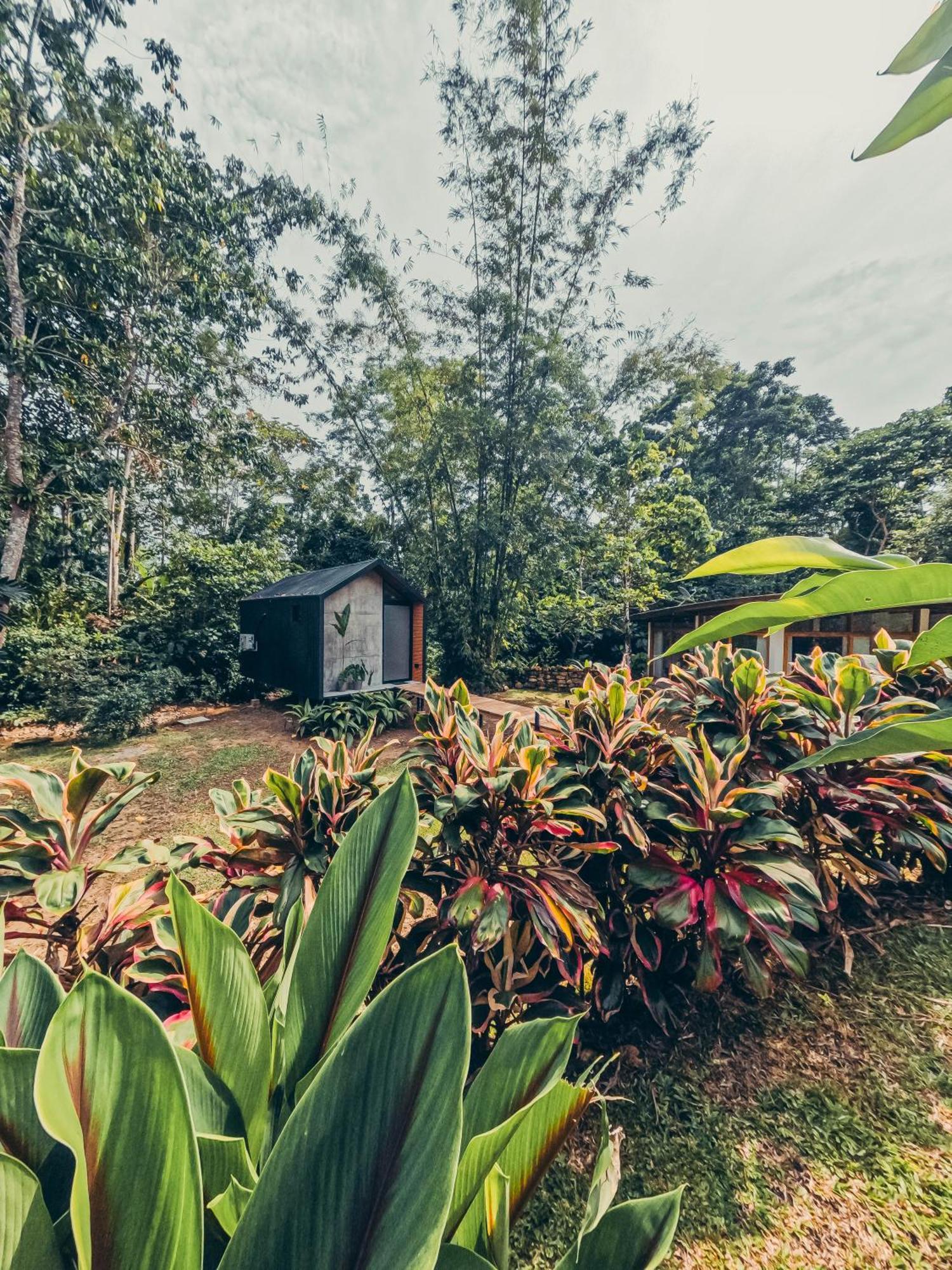 Tagua Lodge Тена Екстериор снимка