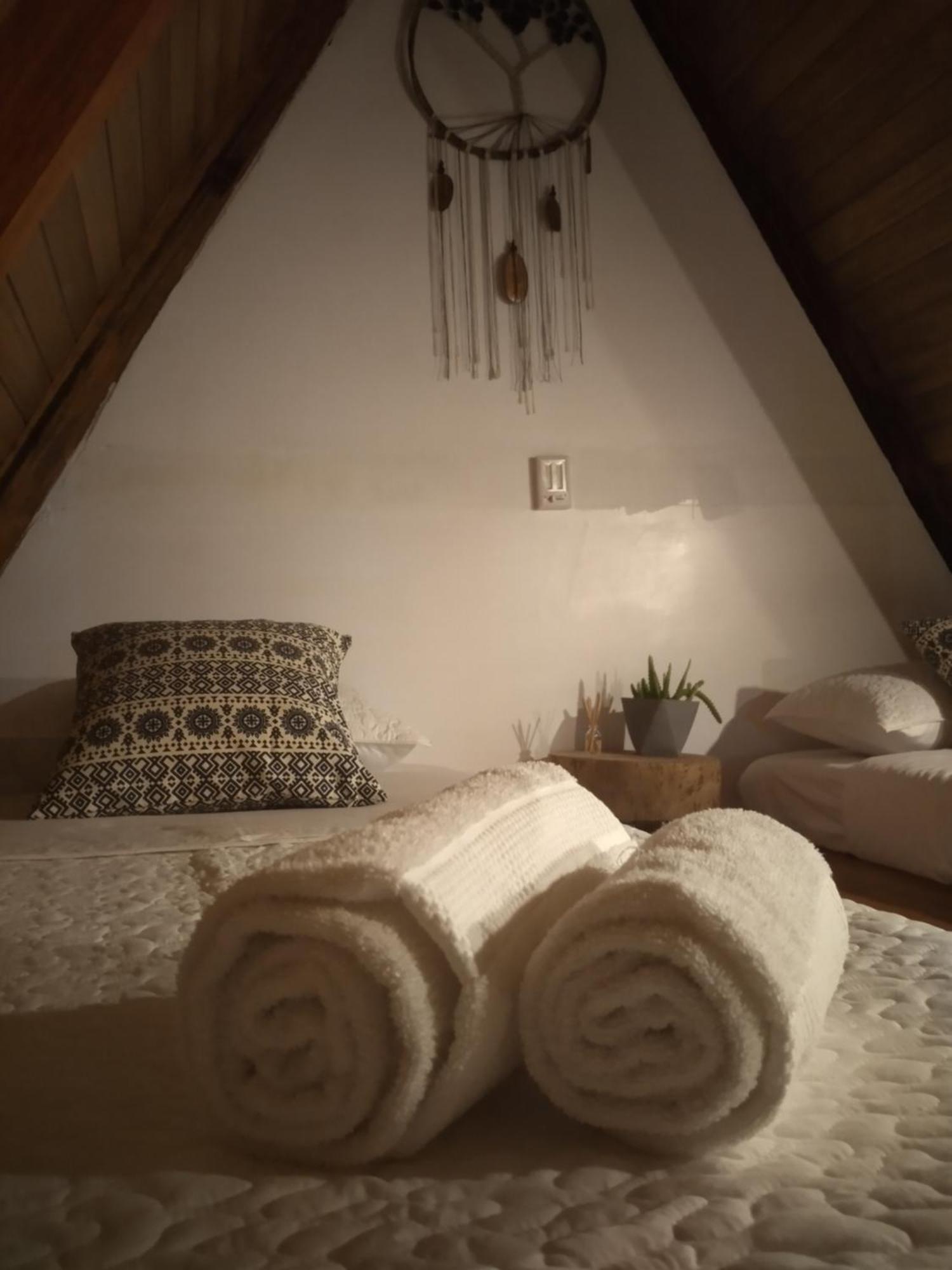 Tagua Lodge Тена Екстериор снимка