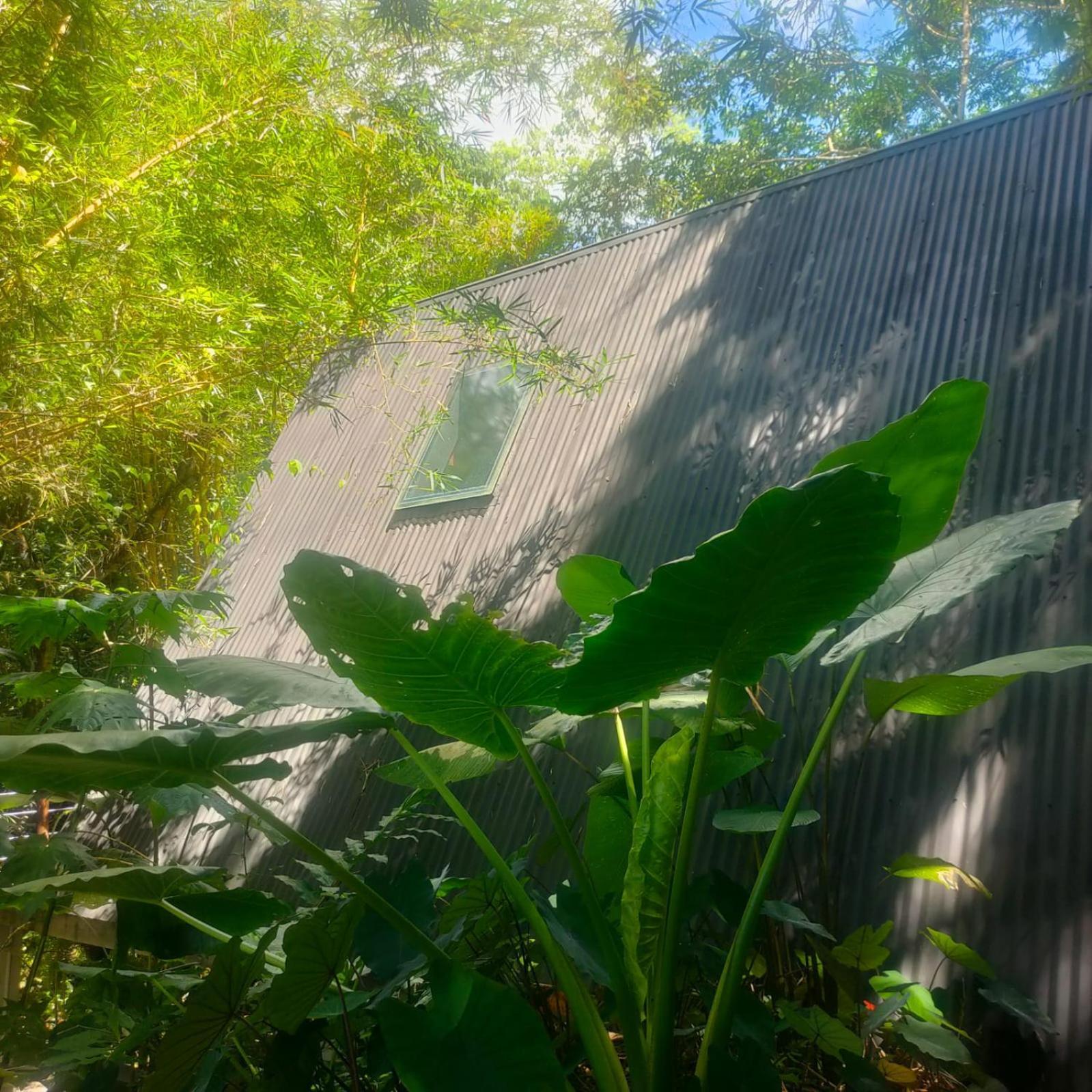 Tagua Lodge Тена Екстериор снимка