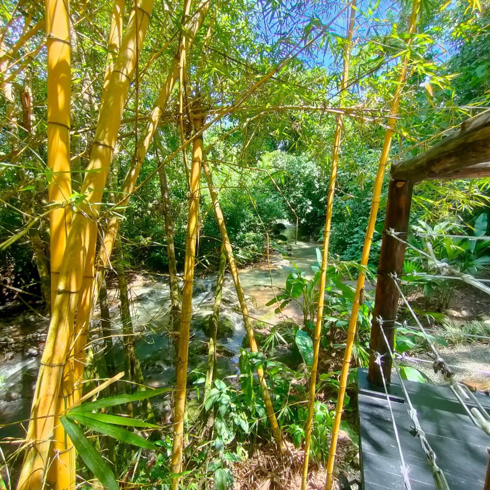 Tagua Lodge Тена Екстериор снимка