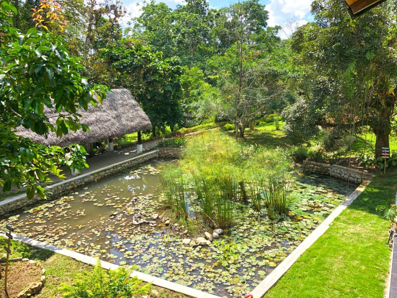 Tagua Lodge Тена Екстериор снимка
